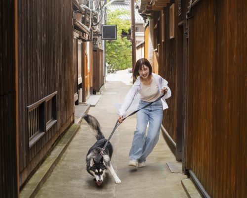 full-shot-asian-woman-with-cute-dog full-shot-asian-woman-with-cute-dog